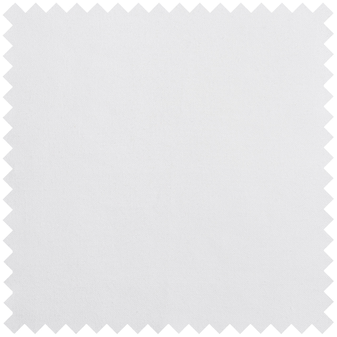 Plain Cotton and Cashmere in White