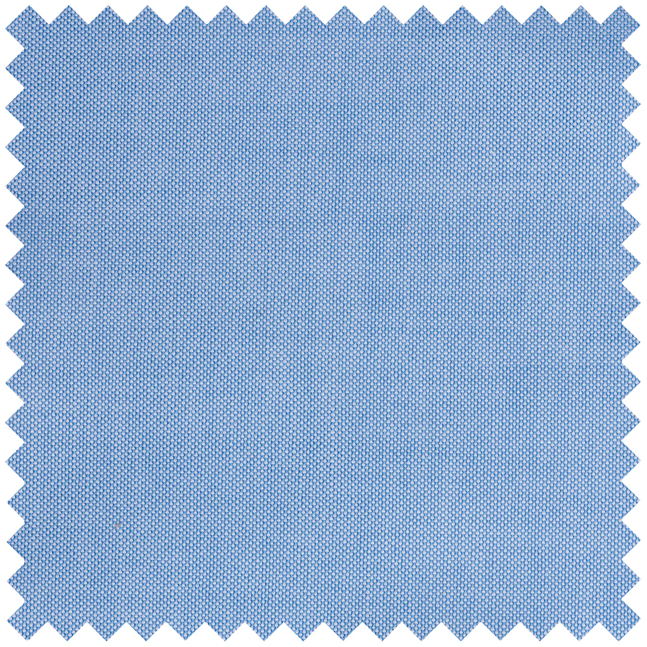 Plain Oxford in Blue