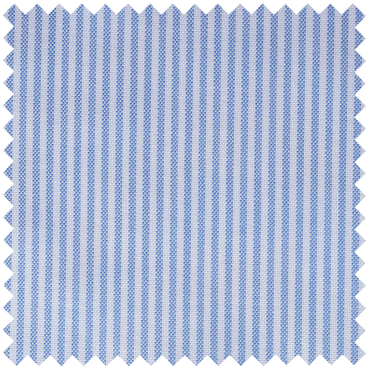 Stripe Oxford in Sky Blue